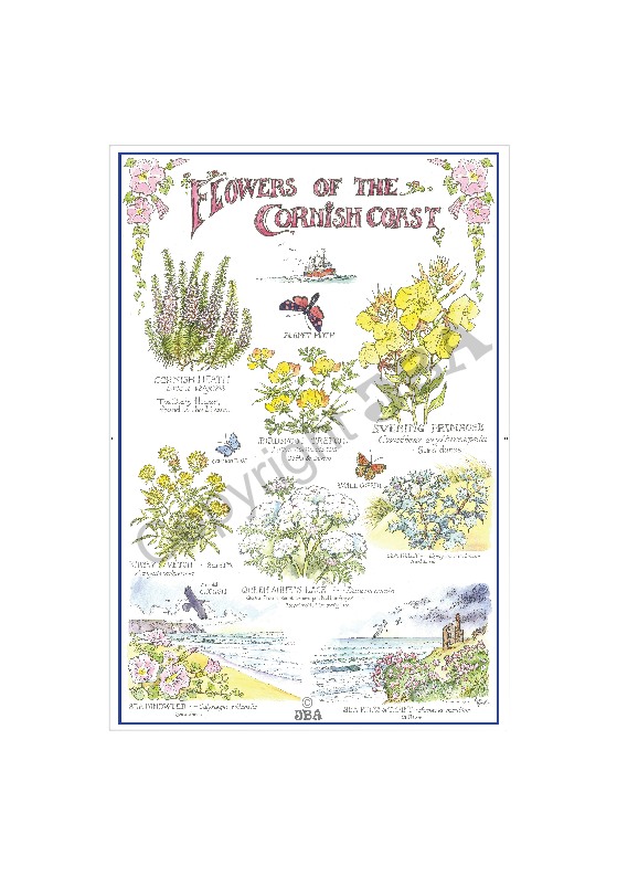 Flowers of the Cornish Coast Tea Towel