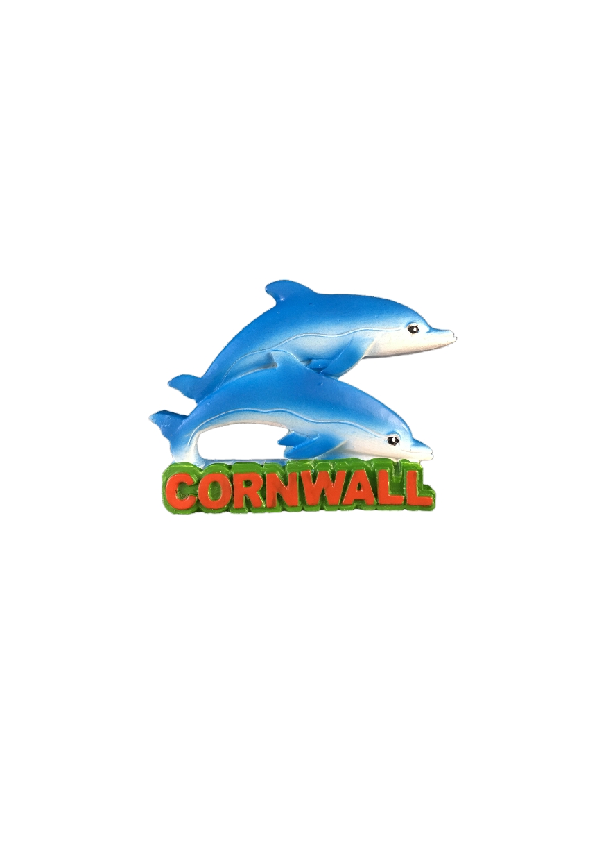 Resin Cornwall Dolphin Magnet