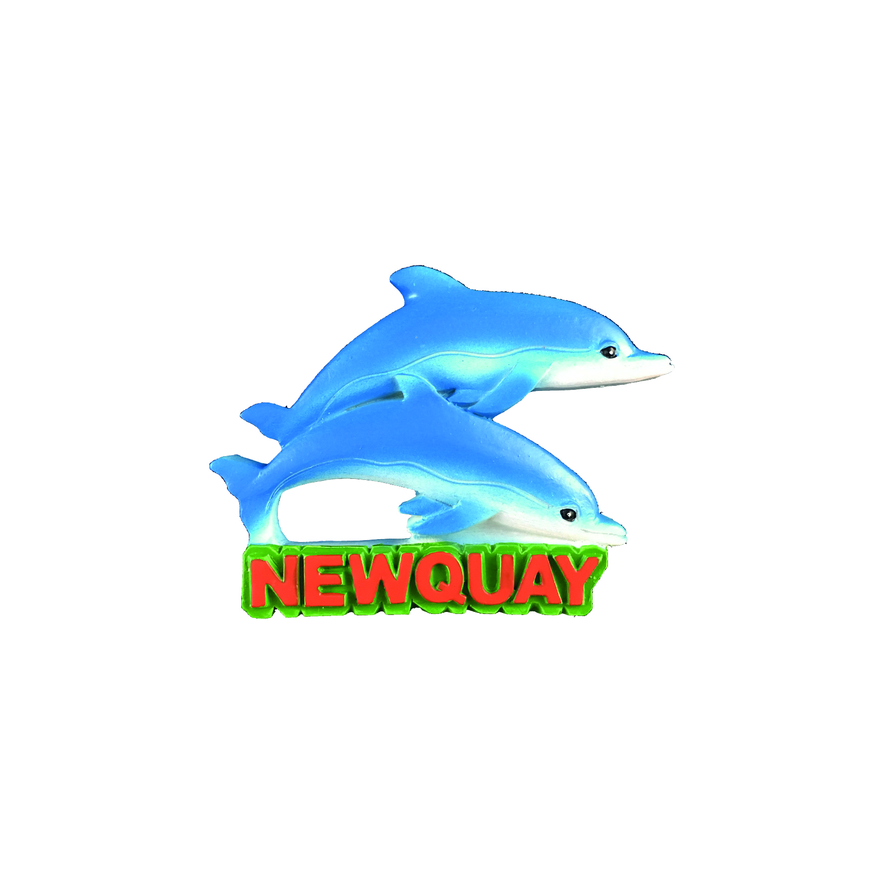 Resin Magnet Newquay Dolphins